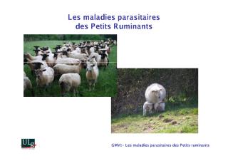 Les maladies parasitaires __des Petits Ruminants.pdf