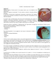 clase 5 microbiología clinica enterobacterias y bnf 12-04-13 (parte 2).doc