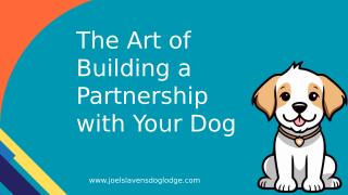 The Art of Building a Partnership with Your Dog